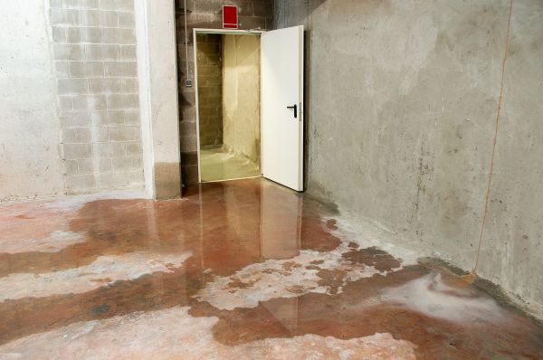 Cost of Wet Basement Repair in Norristown